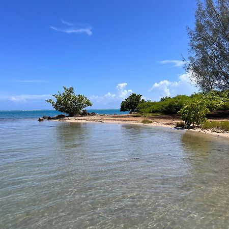 Villa Ho'A - Bord De Mer Avec Piscine Papetoai Eksteriør bilde