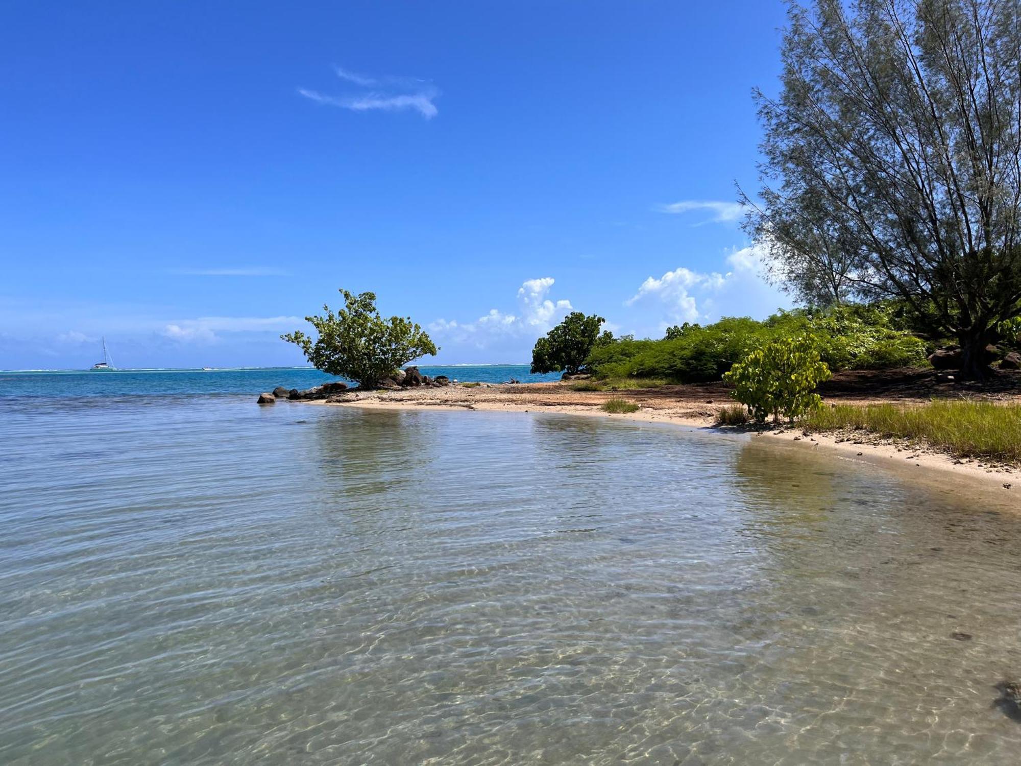 Villa Ho'A - Bord De Mer Avec Piscine Papetoai Eksteriør bilde